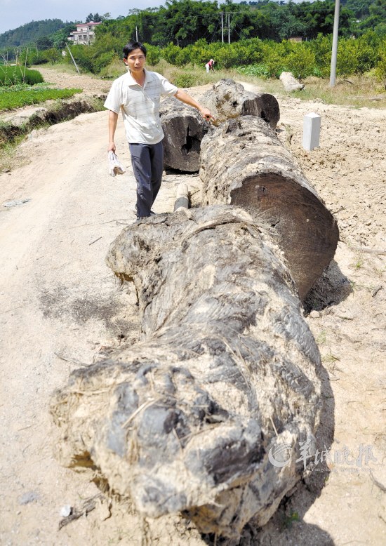 �ڳ�������ֵǧ�� ����������������