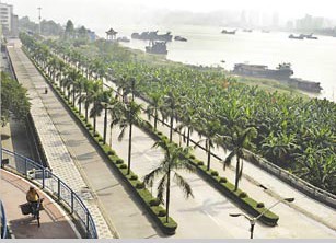 ����·:20����ǰ����· �������й۹��ȥ��