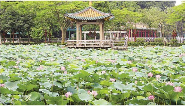 ���������������������