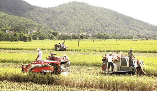 ���¿��� �����絾