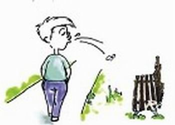 ����΢���飺�������̵�Ҷ���������������