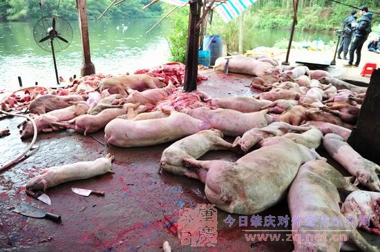 ��Ҫ�����ƻ��ش���������������ͼ��