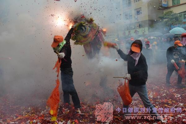  �������˿�����̹�ʨ�ӡ���Ԫ��