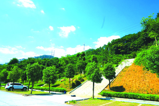 ���죺ɭ�ֹ�԰��ؿ��� ����ɭ���ɹ�ȫ����